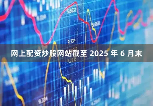 网上配资炒股网站截至 2025 年 6 月末