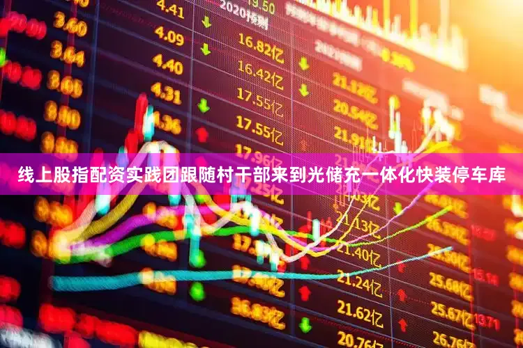 线上股指配资实践团跟随村干部来到光储充一体化快装停车库