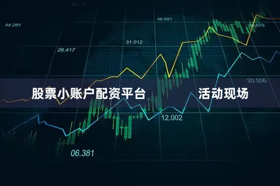 股票小账户配资平台               活动现场
