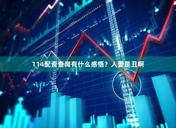 114配资查询有什么感悟？人要是丑啊