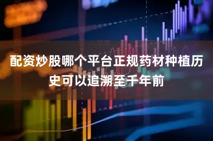 配资炒股哪个平台正规药材种植历史可以追溯至千年前